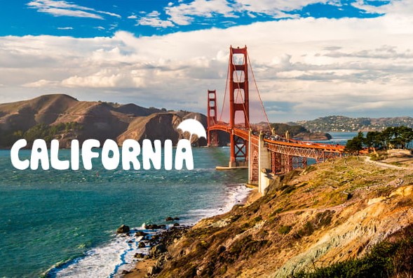 what-self-defence-weapons-are-legal-in-california