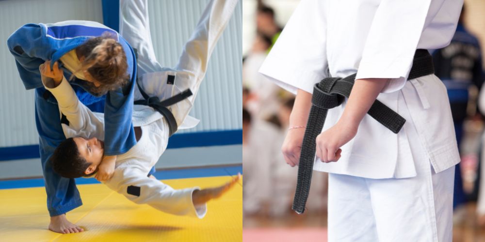 which-is-better-for-self-defense-judo-or-karate